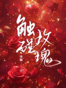 触碰玫瑰免费阅读全文