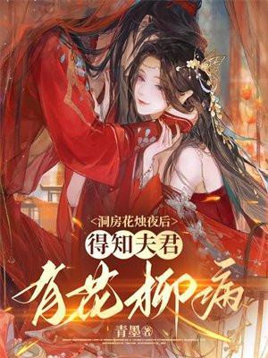 洞房花烛夜大全