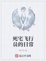 死宅飞行员的日常生活