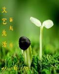 文艺生活家