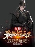 红楼之最强庶子