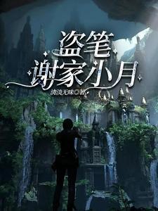 盗笔张家小辈免费