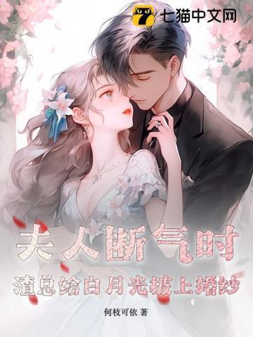 夫人虐渣要趁早 无弹窗手机版