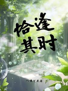 恰逢其时笔趣阁无弹窗