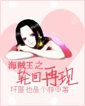海贼之六道轮回
