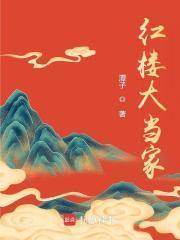 红楼大当家讲的是什么