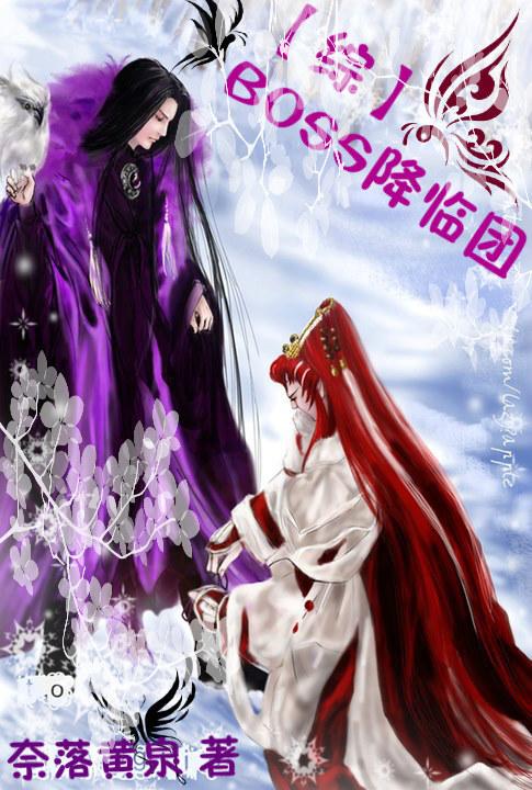 非你莫属 BOSS团