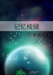 崩轨 记忆棱镜
