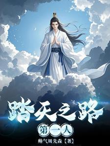 踏天录