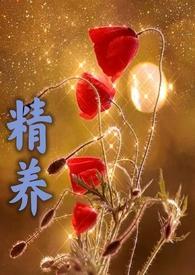 四合院秦淮茹赖上我赵羲彦秦淮茹