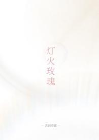 灯火fairymaze2