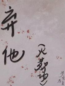弃他如风电视剧免费观看