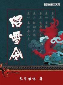 昭雪令演的电视剧