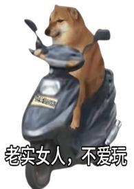 老实女人不装了最新更新