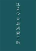 江采追妻的结局