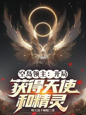 空岛v