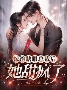 嫁给瞎子是什么