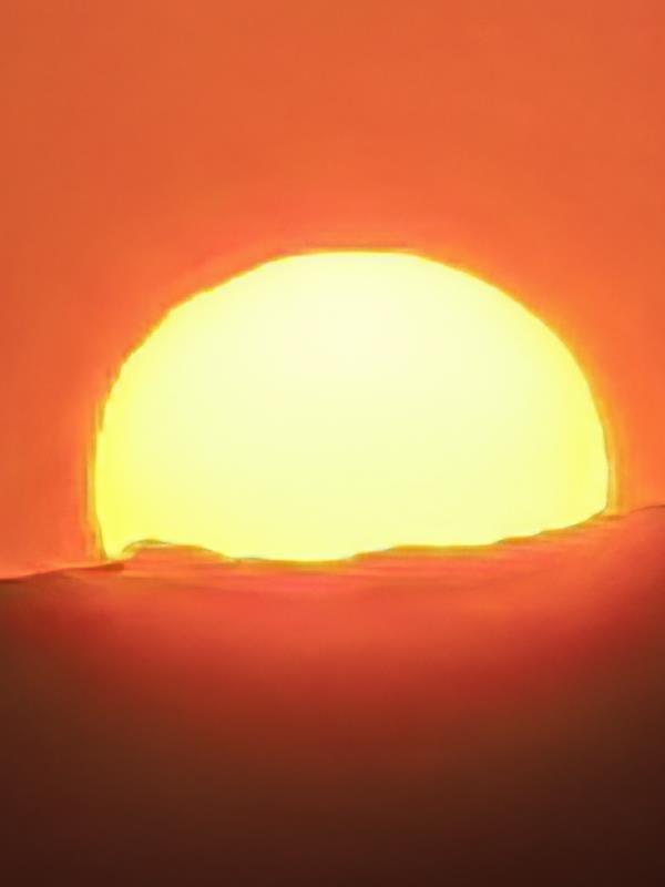 太阳每天都会升起下一句是什么
