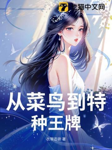 从菜鸟到顶级高手的网游
