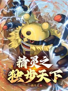 精灵宝可梦之登神长街主角有哪些小精灵