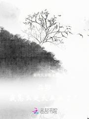 斗罗我怎么穿成大反派了林璃