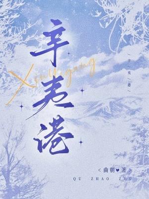 辛夷港TXT