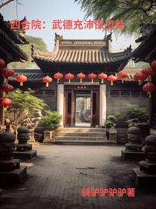 四合院15岁