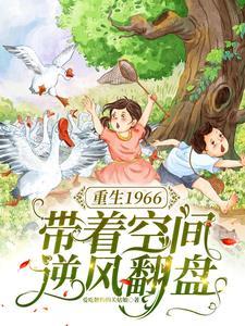 重生带着空间回到60年代的