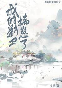 影卫他揣了朕的崽一共多少章