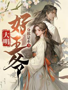 大明王朝电视剧