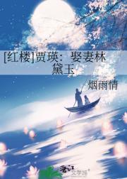 红楼贾琮林黛玉