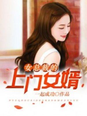 女总裁的上门女婿 2