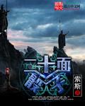 二十面骰子TXT奇书网