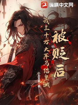 被贬后我三十万大军马踏皇城顶点小