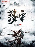 荡宋完结了吗