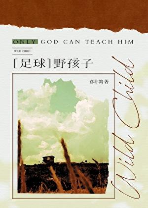 足球野孩子TXT免费