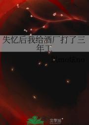 失忆后我火了