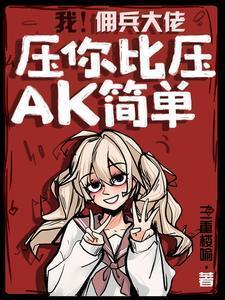 我佣兵大佬压你比压ak简单TXT