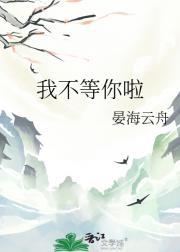 我不等你了简介