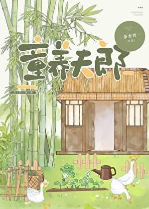 裴家夫郎TXT全本