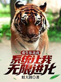 系统让我无限进化(胡毅)
