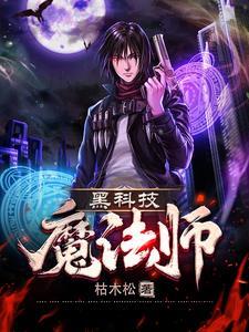 黑科技魔法师顶点