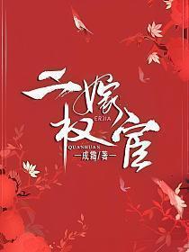 二嫁权宦TXT免费获取