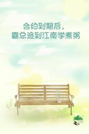 霸总的合约妻