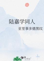 陆嘉学番外篇儿子