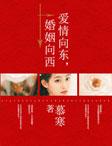 婚姻向西全本