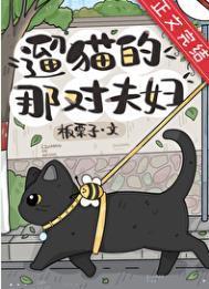 溜猫的那对夫妇