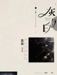 灰与白讲的什么