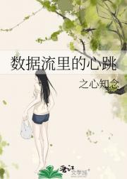 数据流示意图