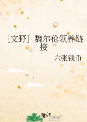 魏尔伦和文野合作